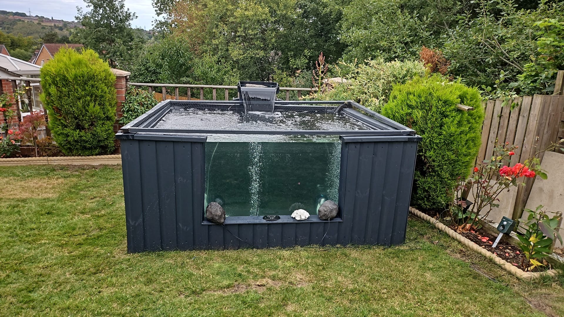 6x6x3ft with viewing window